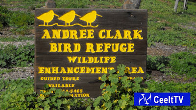 Andree Clark Bird Refuge